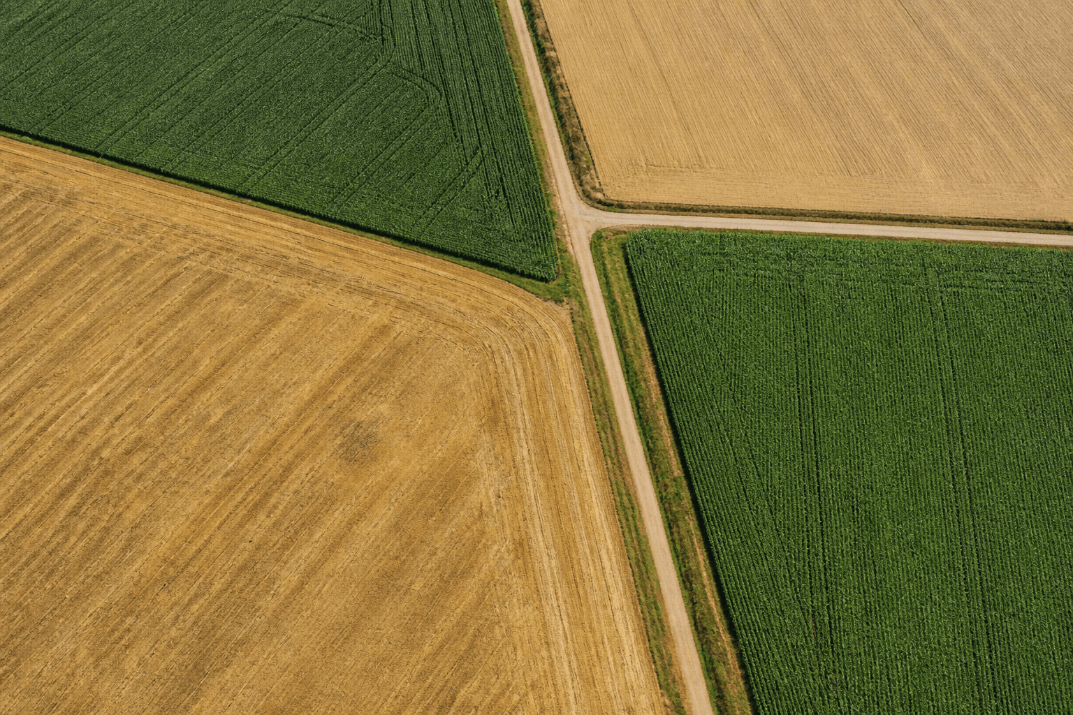 From One Seed Keyword to a 90-Day SEO Map